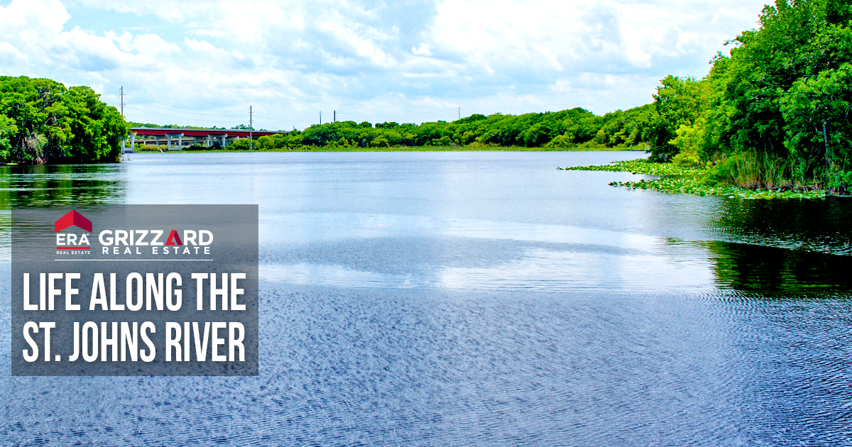 homes for sale on st johns river palatka fl